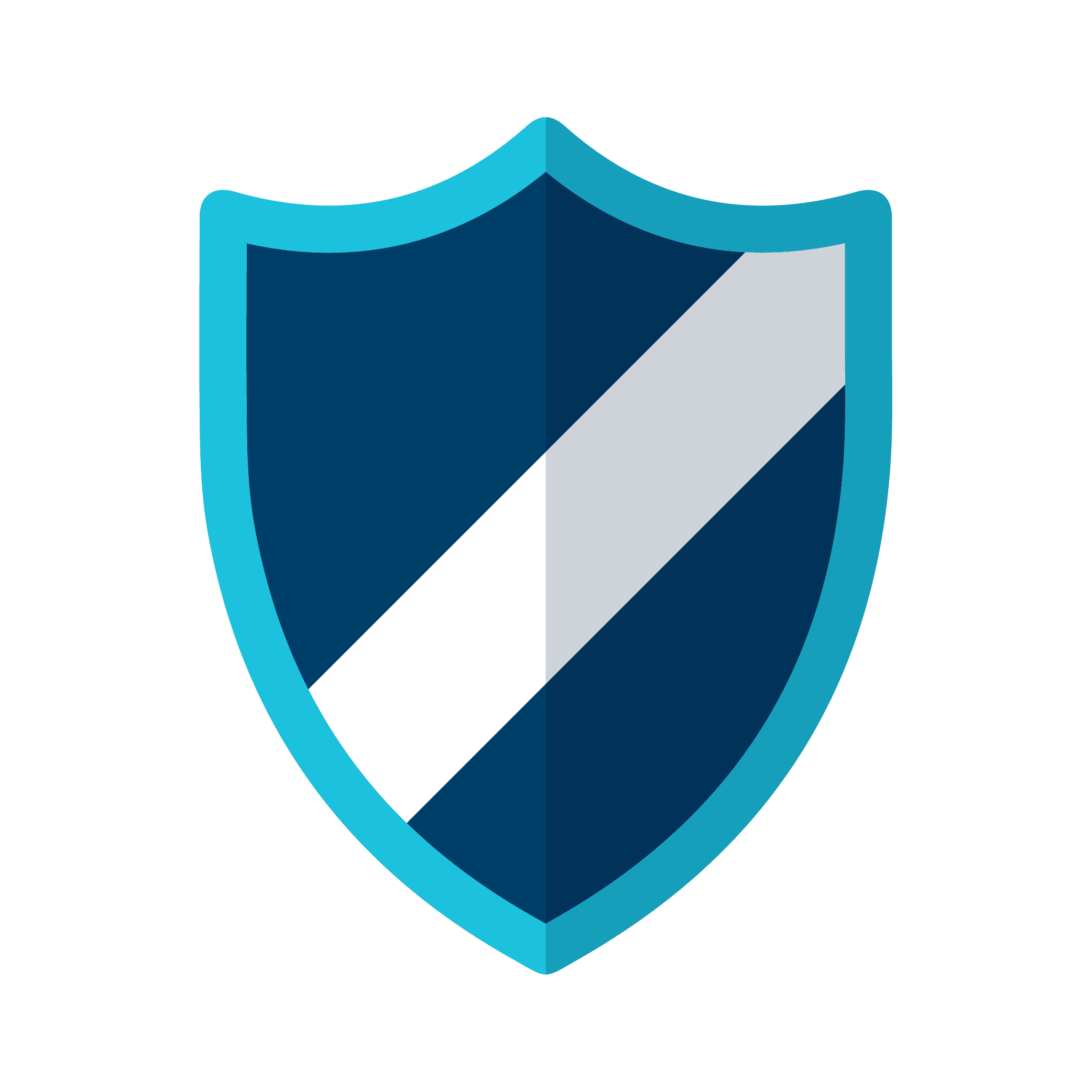 Secure icon